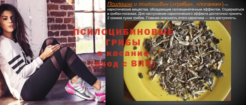 Псилоцибиновые грибы мухоморы  Муром 